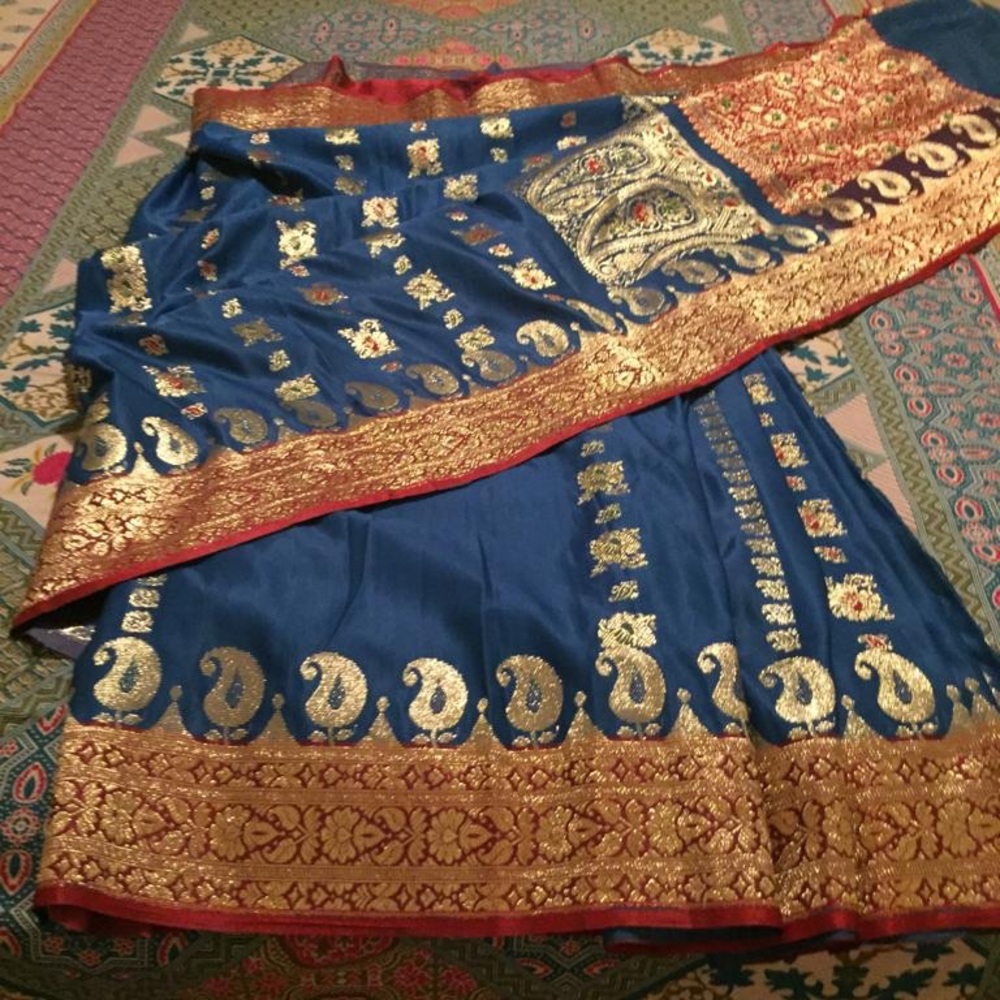 Indian pakistani wedding party wear sari saree